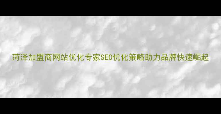 图片 菏泽加盟商网站优化专家SEO优化策略助力品牌快速崛起