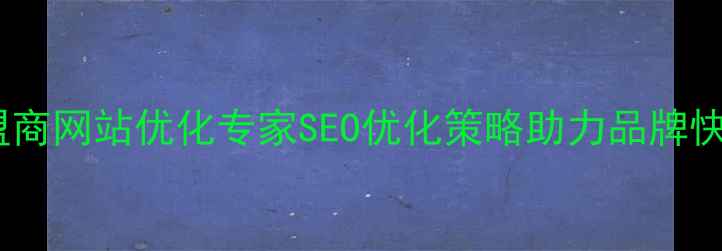 图片 菏泽加盟商网站优化专家SEO优化策略助力品牌快速崛起1