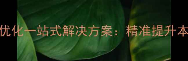 图片 西湖区企业网站排名优化一站式解决方案：精准提升本地SEO流量与转化率2