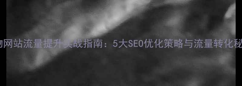 图片 购物网站流量提升实战指南：5大SEO优化策略与流量转化秘籍1