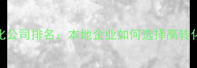图片 贵阳网站优化公司排名：本地企业如何选择高转化率服务商？