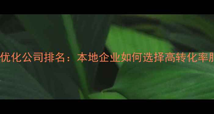 图片 贵阳网站优化公司排名：本地企业如何选择高转化率服务商？2