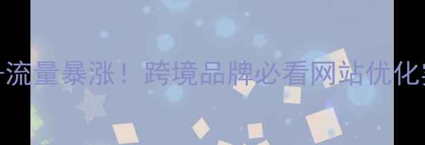 图片 跨境建站+流量暴涨！跨境品牌必看网站优化实操指南1