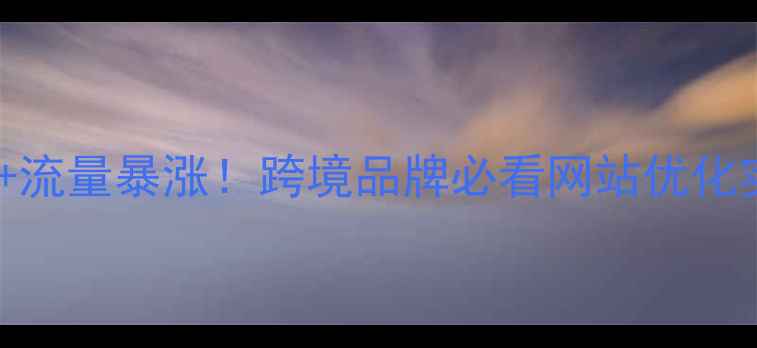 图片 跨境建站+流量暴涨！跨境品牌必看网站优化实操指南2