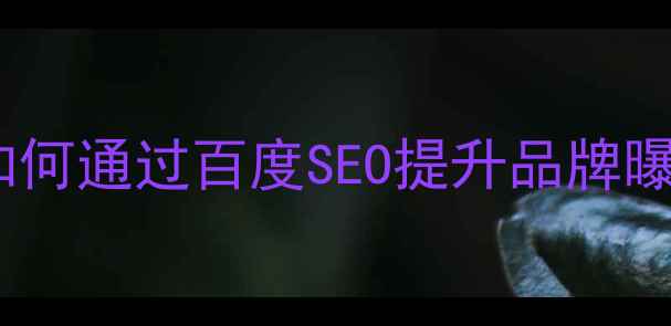 图片 迪奥官网网页设计优化策略：如何通过百度SEO提升品牌曝光与用户体验（附实战案例）1