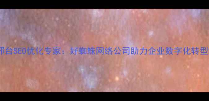 图片 邢台SEO优化专家：好蜘蛛网络公司助力企业数字化转型2