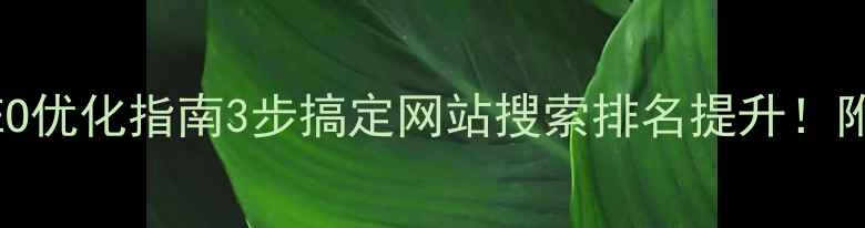 图片 邵阳本地SEO优化指南3步搞定网站搜索排名提升！附实战案例2