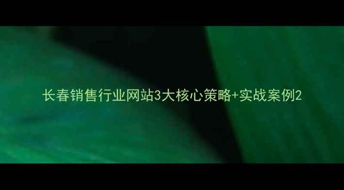 图片 长春销售行业网站3大核心策略+实战案例2