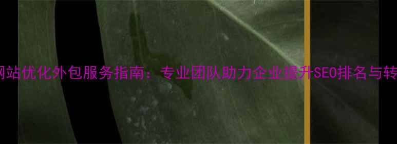 图片 长沙网站优化外包服务指南：专业团队助力企业提升SEO排名与转化率2