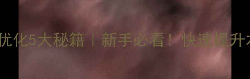 图片 阜阳网站优化5大秘籍｜新手必看！快速提升本地流量2