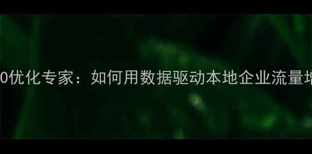 图片 阳江SEO优化专家：如何用数据驱动本地企业流量增长？2
