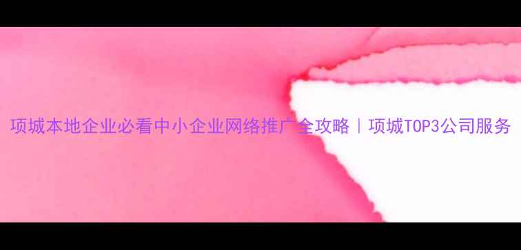 图片 项城本地企业必看中小企业网络推广全攻略｜项城TOP3公司服务
