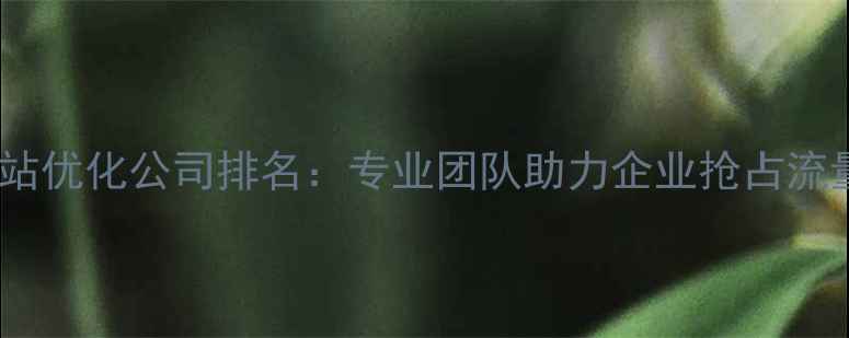 图片 香港网站优化公司排名：专业团队助力企业抢占流量高地1