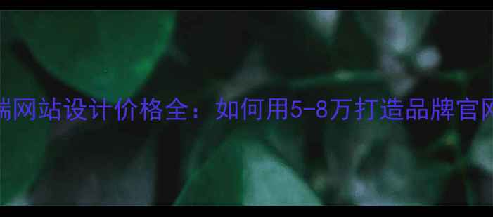 图片 高端网站设计价格全：如何用5-8万打造品牌官网？