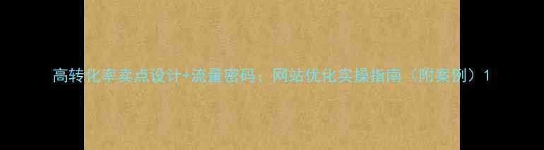 图片 高转化率卖点设计+流量密码：网站优化实操指南（附案例）1