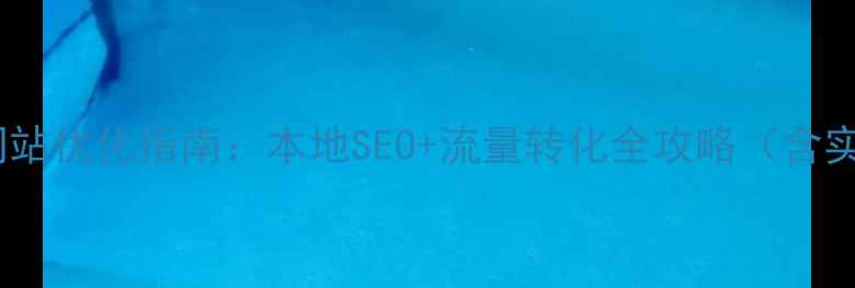 图片 鹤壁企业网站优化指南：本地SEO+流量转化全攻略（含实操案例）2