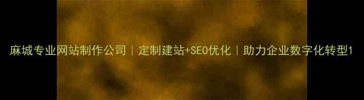 图片 麻城专业网站制作公司｜定制建站+SEO优化｜助力企业数字化转型1