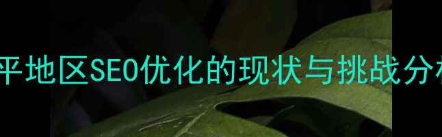 图片 黄平地区SEO优化的现状与挑战分析2
