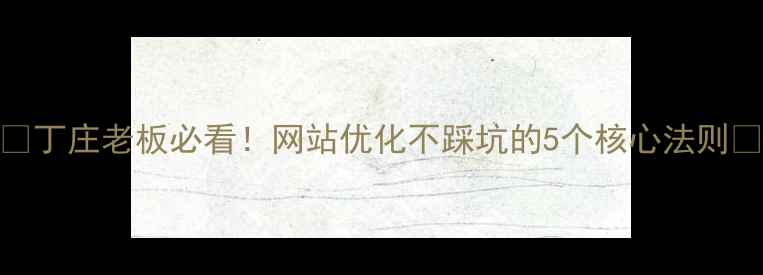图片 🌟丁庄老板必看！网站优化不踩坑的5个核心法则🌟