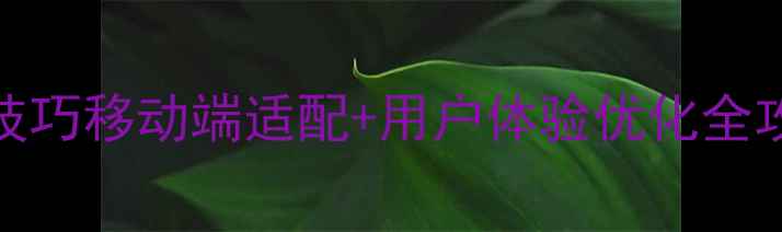 图片 🌟响应式设计5大必学技巧移动端适配+用户体验优化全攻略｜附免费工具包📱2