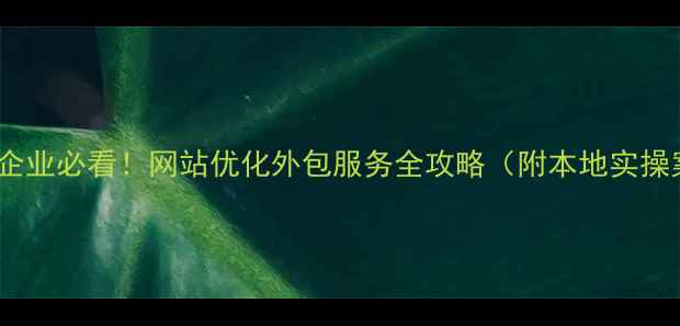 图片 🌟娄底企业必看！网站优化外包服务全攻略（附本地实操案例）2