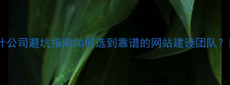 图片 🌟廊坊网站设计公司避坑指南如何选到靠谱的网站建设团队？附TOP5推荐！2