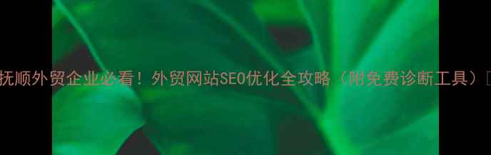 图片 🌟抚顺外贸企业必看！外贸网站SEO优化全攻略（附免费诊断工具）🌟1