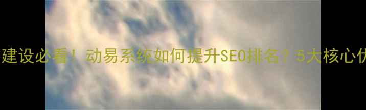 图片 🌟政府网站建设必看！动易系统如何提升SEO排名？5大核心优化技巧🌟1