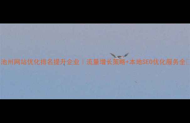 图片 🌟池州网站优化排名提升企业｜流量增长策略+本地SEO优化服务全🌟1
