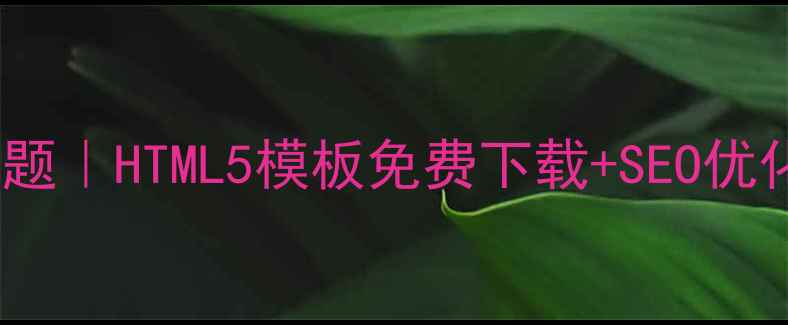 图片 🌟百度推荐WordPress主题｜HTML5模板免费下载+SEO优化全攻略（附安装教程）
