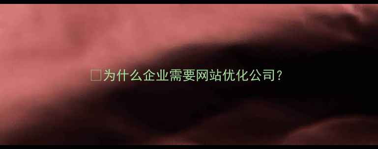 图片 💡为什么企业需要网站优化公司？