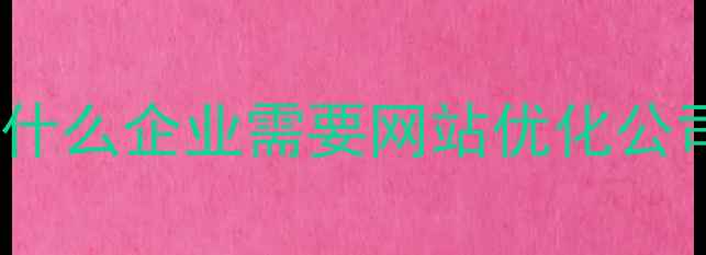 图片 💡为什么企业需要网站优化公司？2