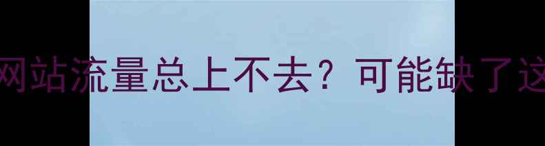图片 💡为什么你的网站流量总上不去？可能缺了这颗流量核弹！