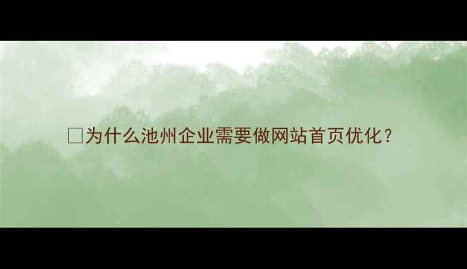图片 💡为什么池州企业需要做网站首页优化？
