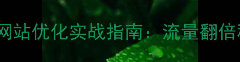 图片 💡吴川本地企业网站优化实战指南：流量翻倍秘籍与避坑指南1