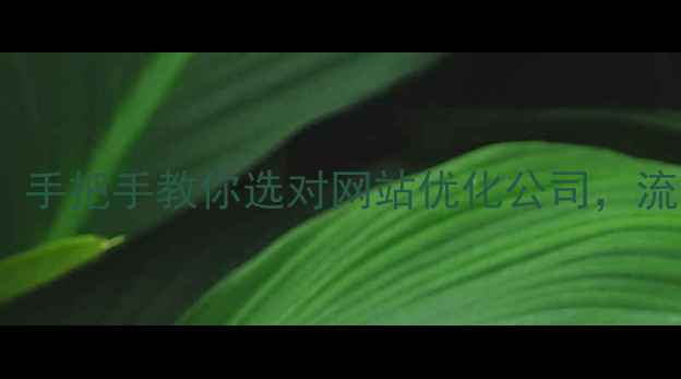 图片 💡海口企业主必看！手把手教你选对网站优化公司，流量翻倍秘籍大公开1