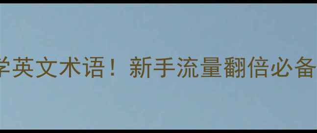 图片 💡网站优化必学英文术语！新手流量翻倍必备的SEO黑话大全