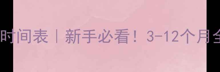 图片 💡网站优化排名时间表｜新手必看！3-12个月全攻略+避坑指南