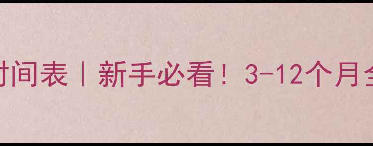 图片 💡网站优化排名时间表｜新手必看！3-12个月全攻略+避坑指南2