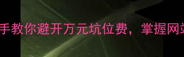 图片 💡黑龙江企业主必看！手把手教你避开万元坑位费，掌握网站优化的核心成本与技巧！2