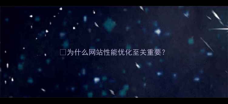 图片 💥为什么网站性能优化至关重要？