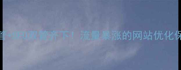 图片 💥竞价托管+SEO双管齐下！流量暴涨的网站优化保姆级教程