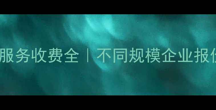 图片 💰网站SEO优化服务收费全｜不同规模企业报价表+避坑指南1