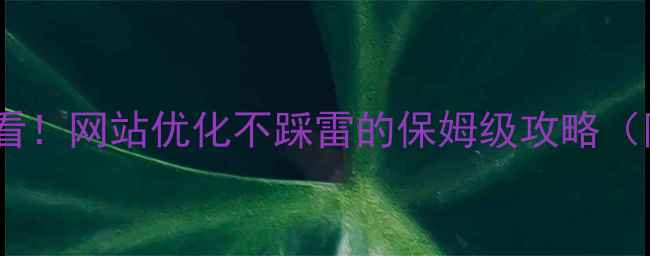 图片 📌偃师老板必看！网站优化不踩雷的保姆级攻略（附真实报价）1