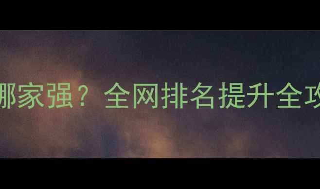 图片 📌标题兰州SEO优化公司哪家强？全网排名提升全攻略（附本地成功案例）1