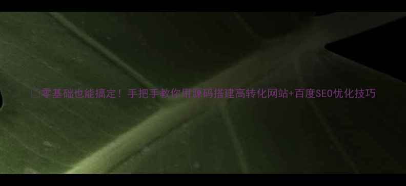 图片 📌零基础也能搞定！手把手教你用源码搭建高转化网站+百度SEO优化技巧