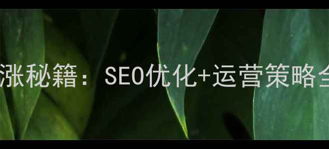 图片 🔥中小型企业网站流量暴涨秘籍：SEO优化+运营策略全攻略（附实操案例）💡2