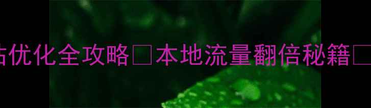 图片 🔥丹东网站优化全攻略🔥本地流量翻倍秘籍💡实操指南2