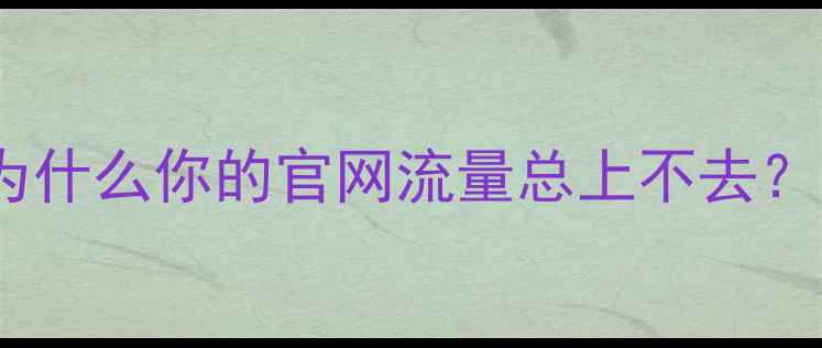 图片 🔥为什么你的官网流量总上不去？💥2