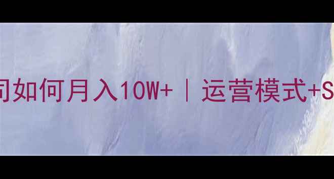 图片 🔥建站公司如何月入10W+｜运营模式+SEO技巧全2